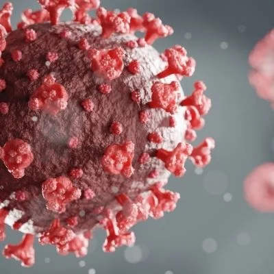 corona virus