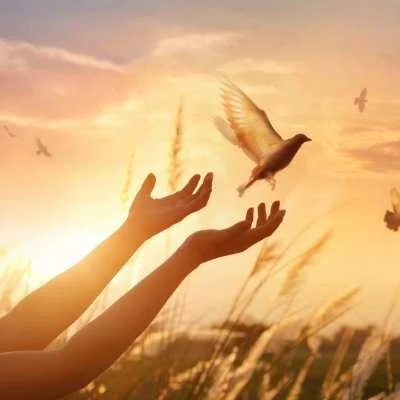 Woman releasing a bird at sunrise